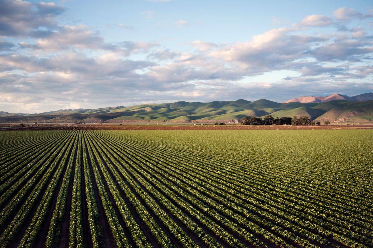 Tractor subsidy rumours