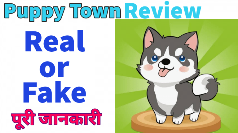 Puppy Town Game | Real or Fake
