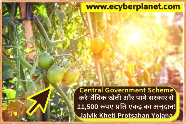 करे जैविक खेती और पाये सरकार से 11,500 रूपए प्रति एकड़ का अनुदान! Jaivik Kheti Protsahan Yojana