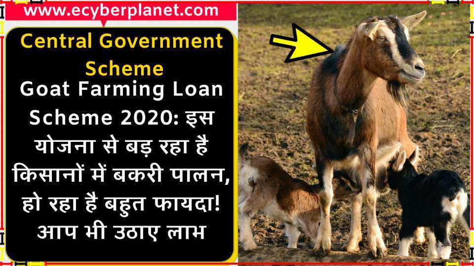 Goat Farming Loan Scheme 2020 