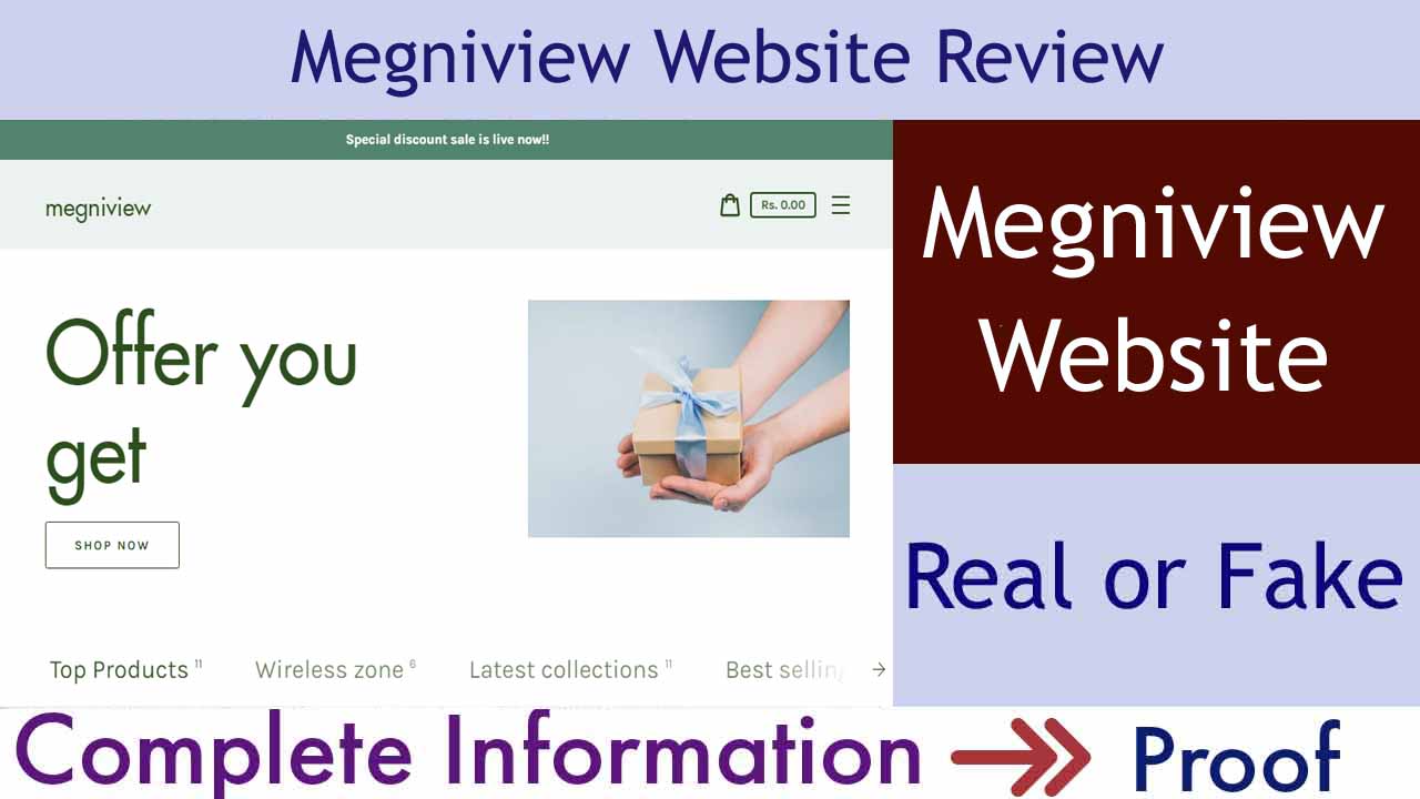 Megniview Website Review