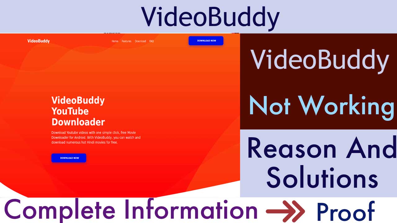 VideoBuddy Not Working