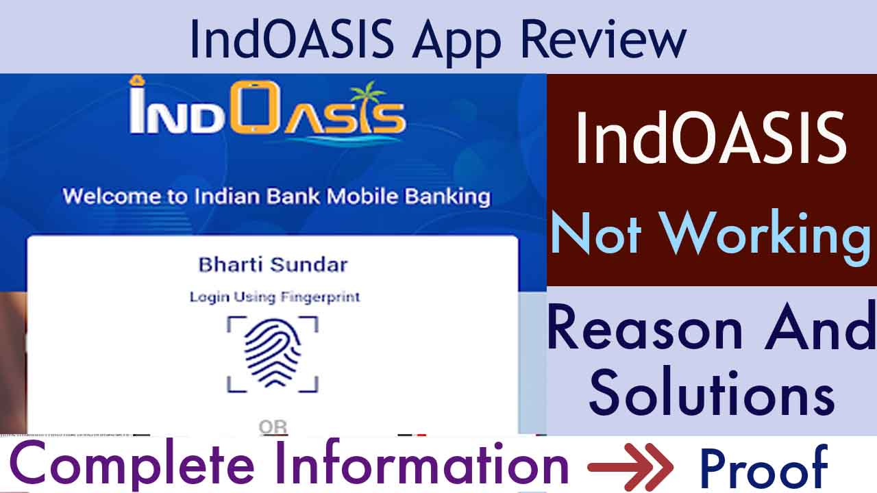 Indoasis Review