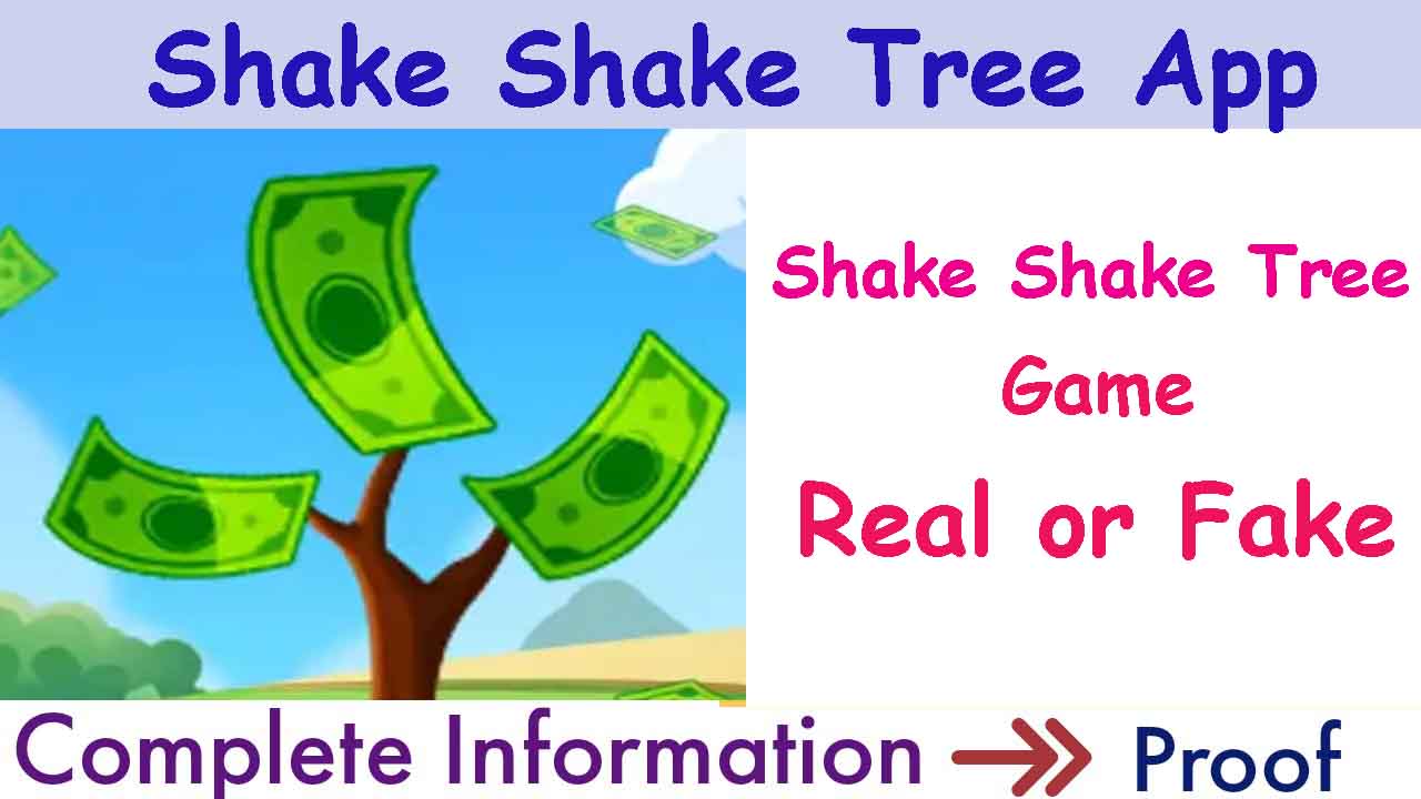 Shake Shake Tree Review