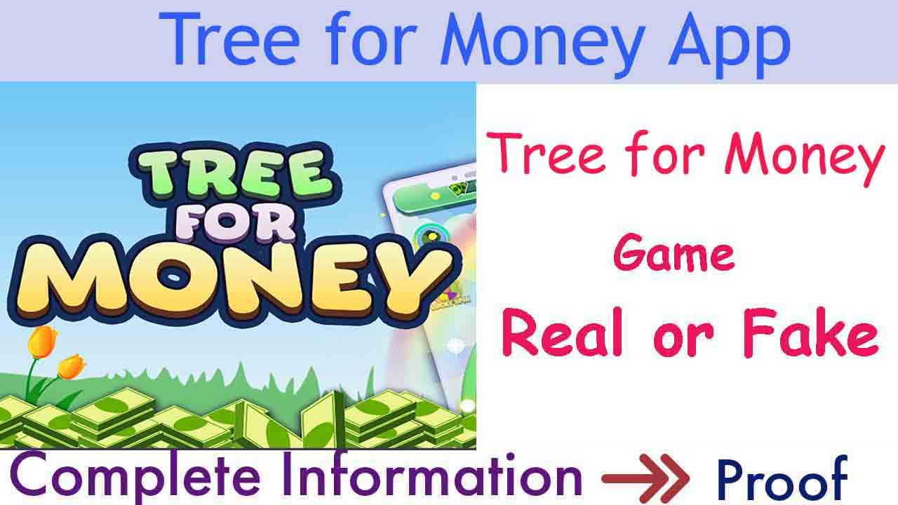 Tree for money review