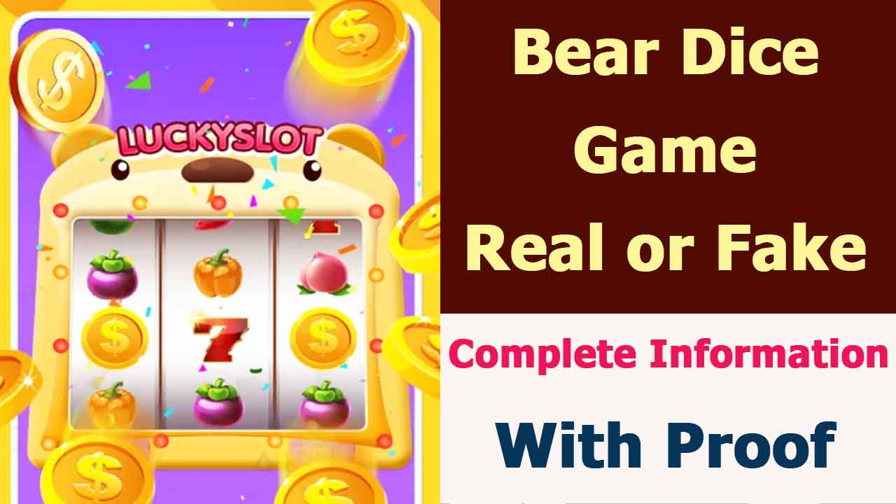 Bear Dice Game Review