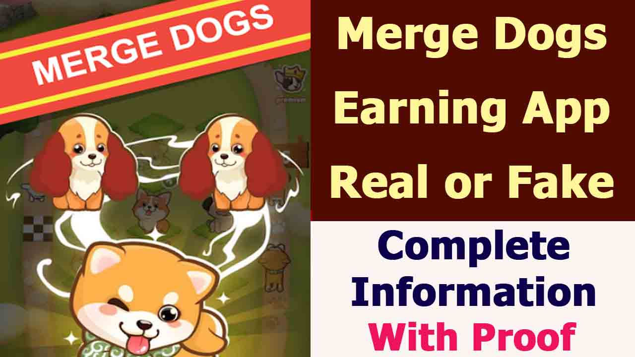 Merge Dogs Earning App