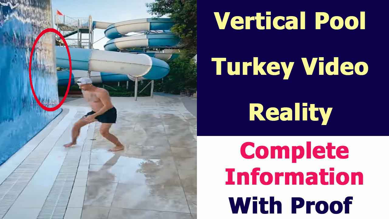 Vertical Pool Turkey Reality