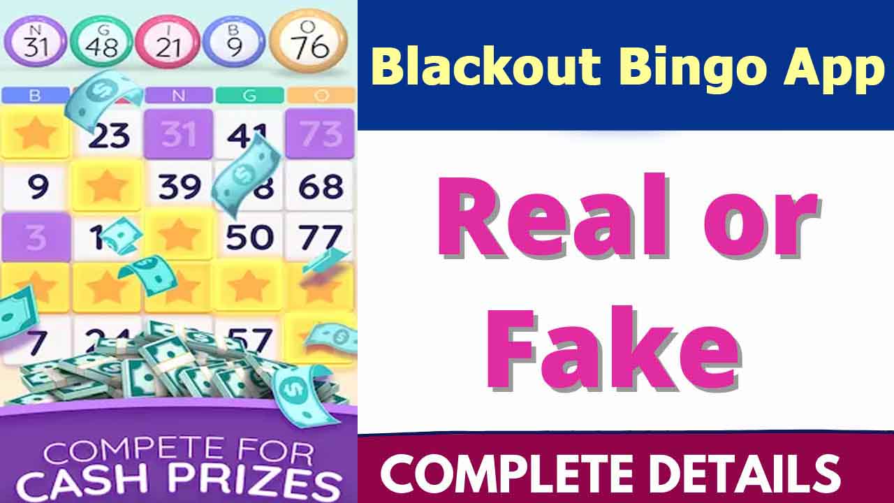 Blackout Bingo App Review
