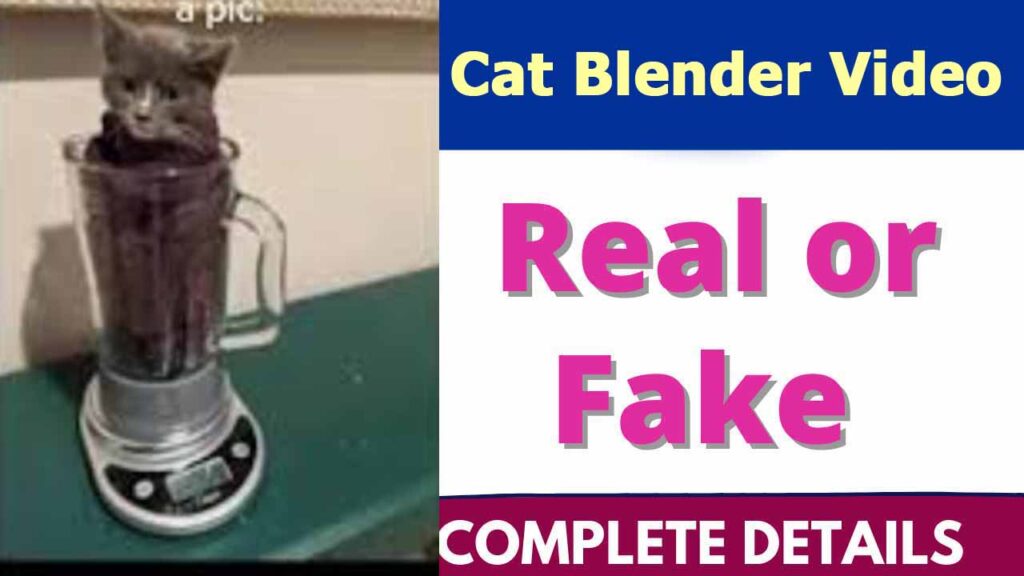Cat Blender Video Review