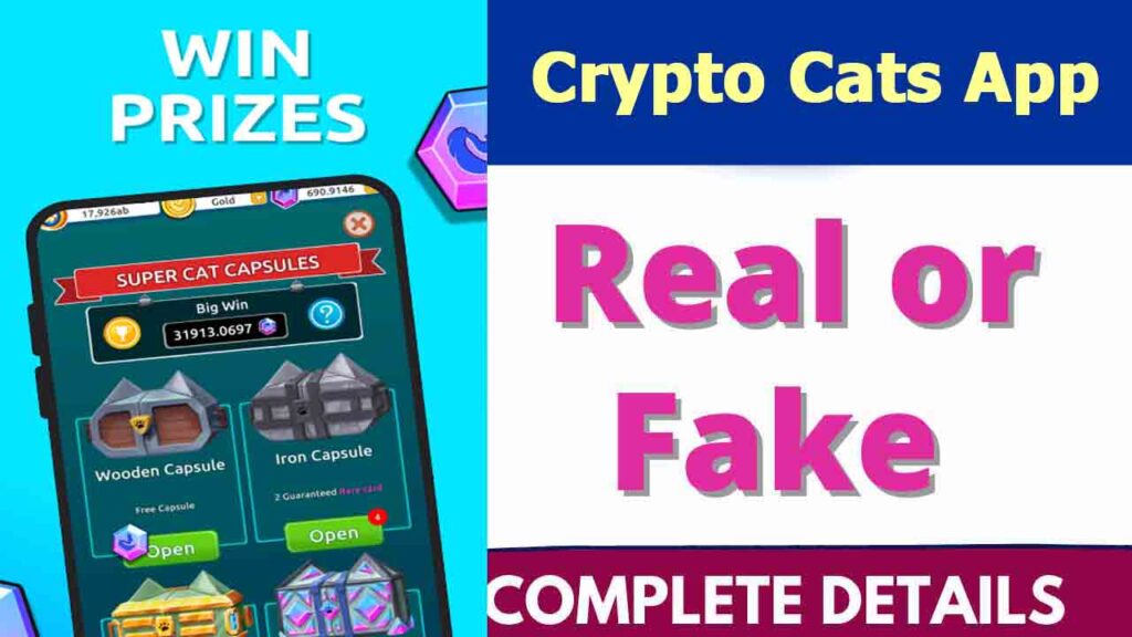 Crypto Cats App Review